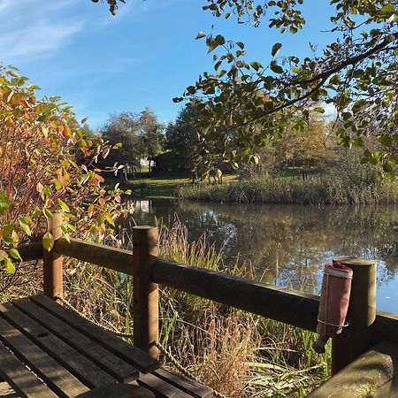 Hazel Oaks, Beautiful Lodge With Hot Tub - Sleeps 6 - Felmoor Park Morpeth Bagian luar foto
