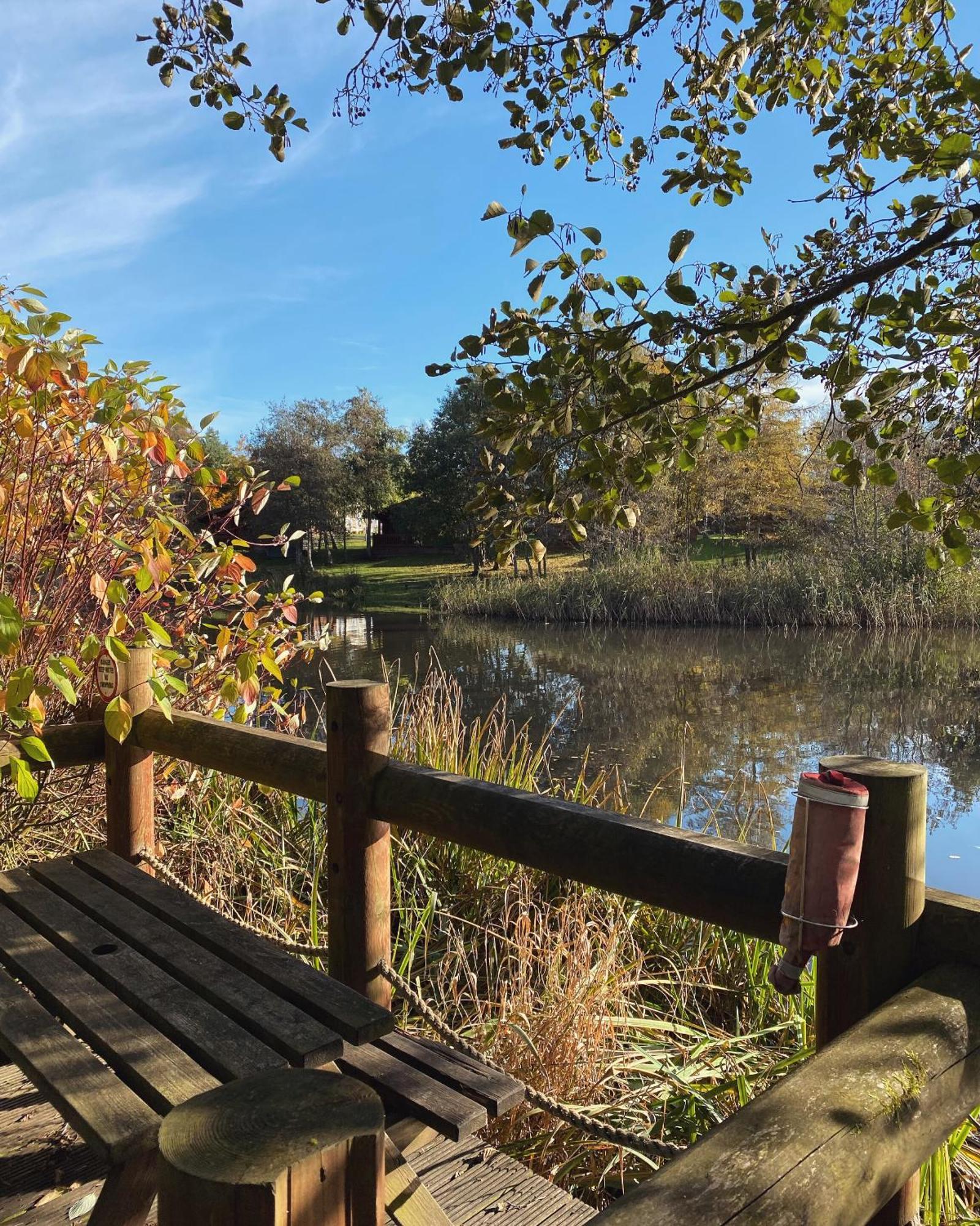 Hazel Oaks, Beautiful Lodge With Hot Tub - Sleeps 6 - Felmoor Park Morpeth Bagian luar foto
